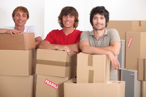 Professional removalists assisting with a house move